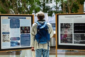 A student looking at poster displays