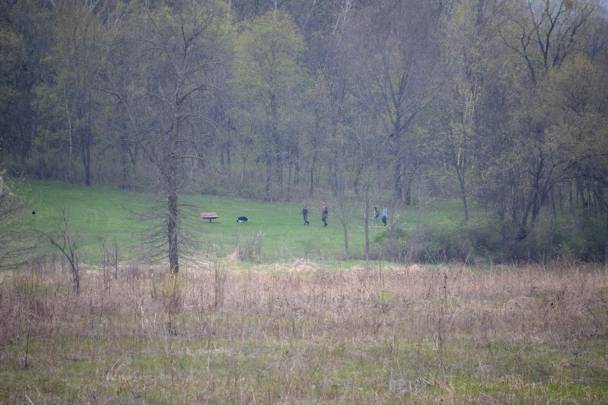 A group of hikers walking along a wooded trail viewed from a long distance