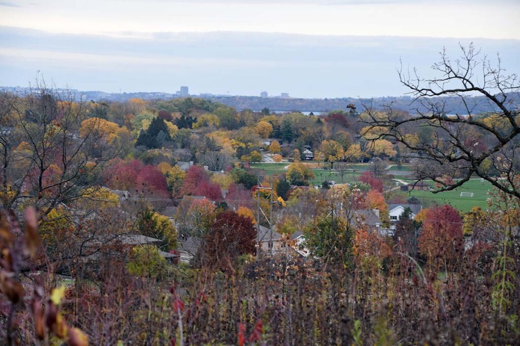 Landscape view of trees showing a range of fall colors, with houses mixed in between