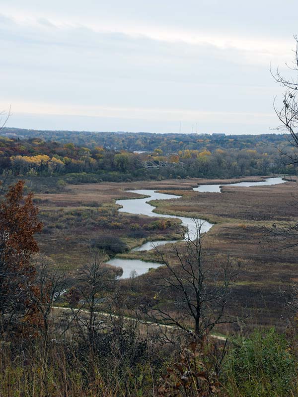 Landscape view of a stream winding through a prairie