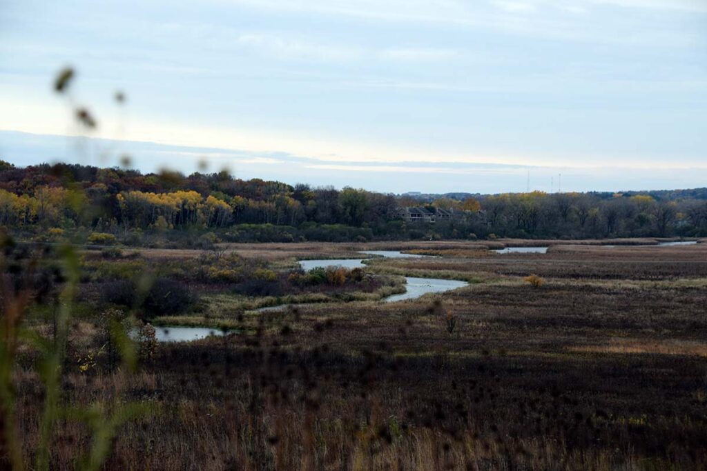 Landscape view of a stream winding through a prairie showing fall colors