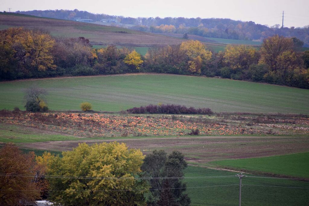 Wide-angle landscape shows green rolling hills dotted with trees showing colorful fall leaves