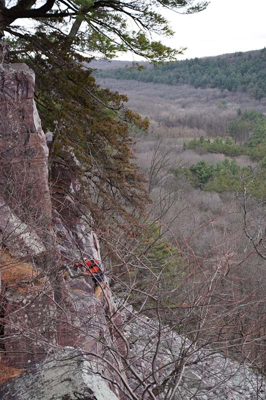 Looking through leafless branches, a rock climber scales a bluff