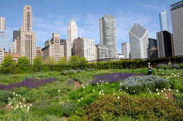 Greenspace with the Chicago skyline in the background