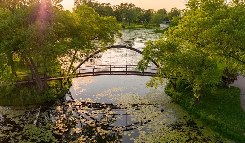 Curved pedestrian bridge over lily pad-covered lagoon at Tenney Park in Madison, Wisconsin, surrounded by green trees at sunset.